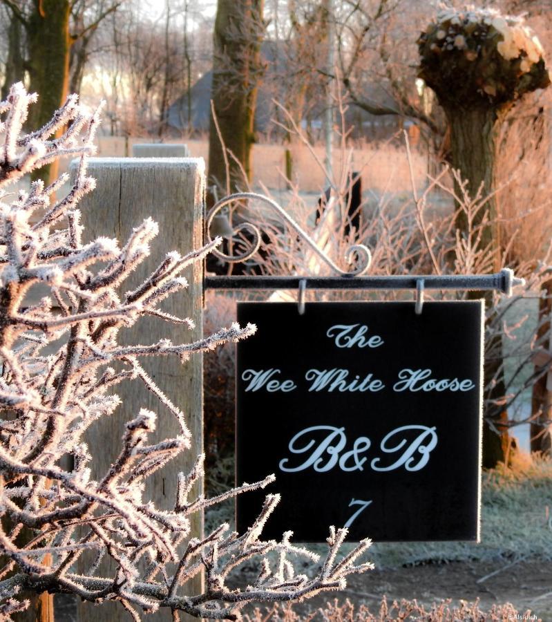 Bed and Breakfast The Wee White Hoose à Oosternijkerk Extérieur photo