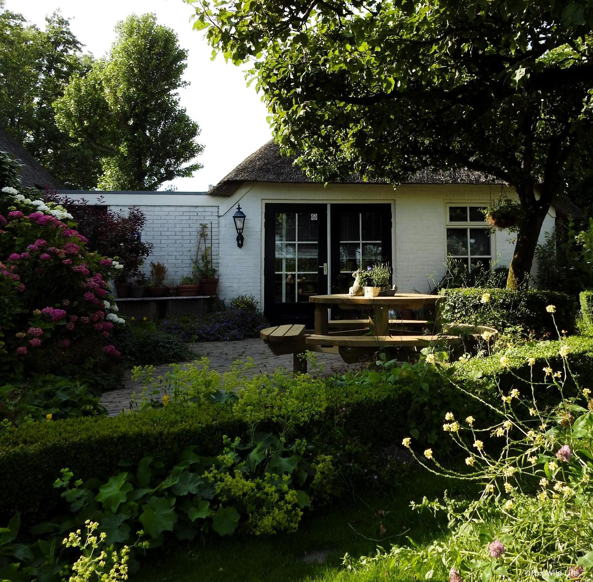Bed and Breakfast The Wee White Hoose à Oosternijkerk Extérieur photo